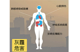 空氣中PM2.5 是由什么物質組成的？